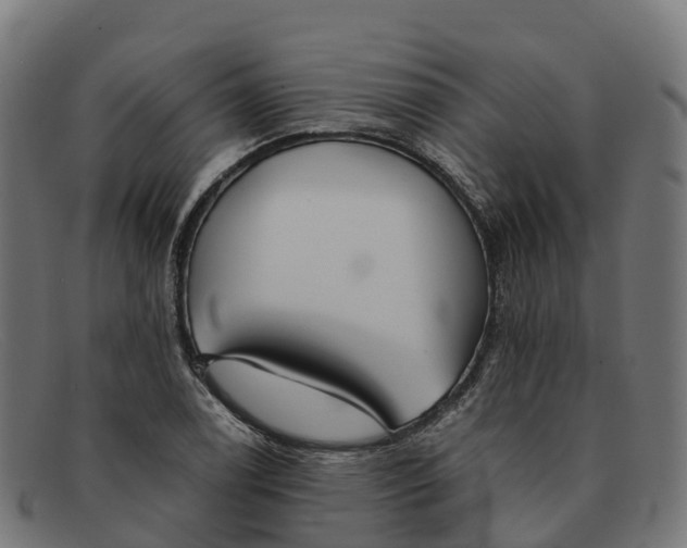 X0000091661122200709131505