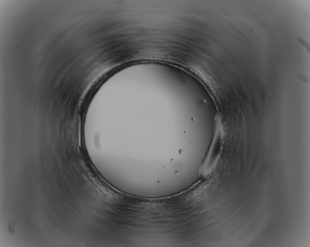 X0000091661123200709131505