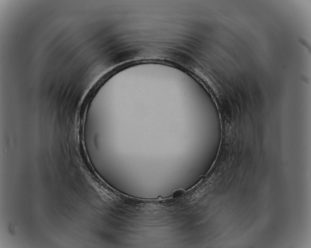 X0000091661124200709131505