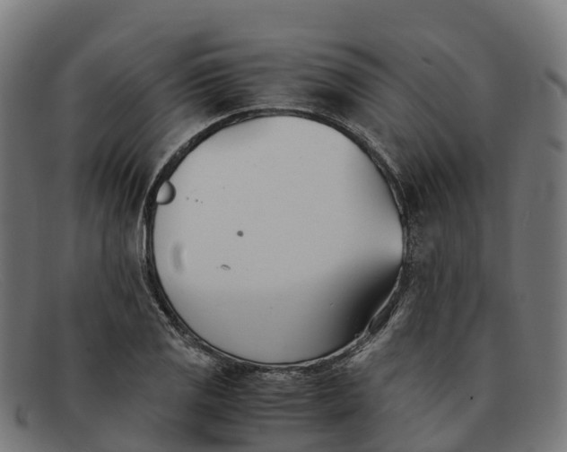 X0000091661125200709131505