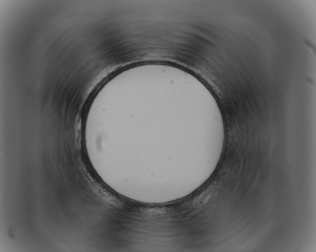 X0000091661126200709131505