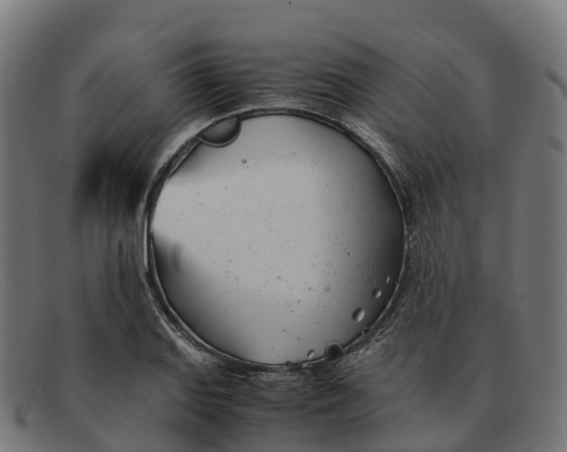 X0000091661127200709131505