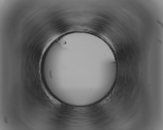 X0000091661128200709131505