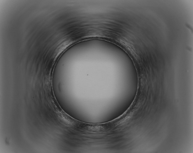 X0000091661129200709131505