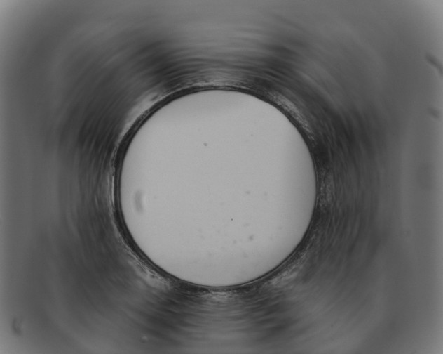 X0000091661130200709131505