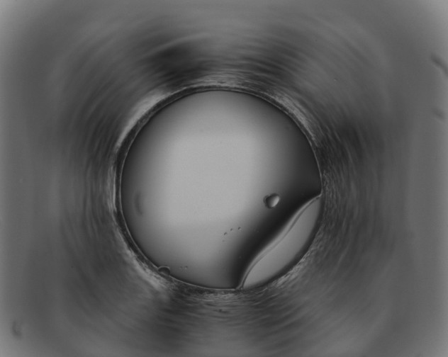 X0000091661131200709131505