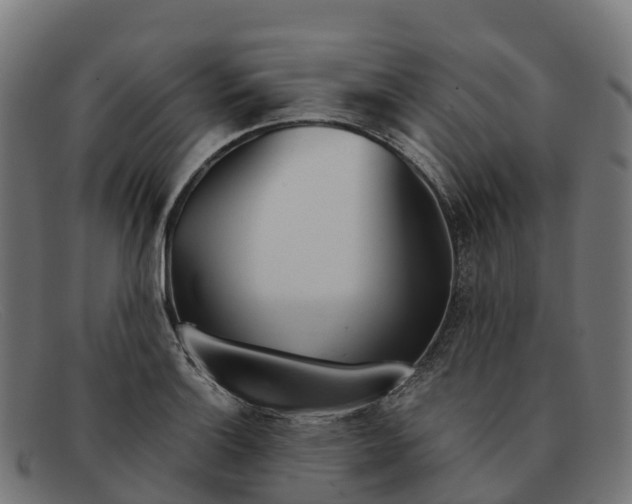 X0000091661132200709131505