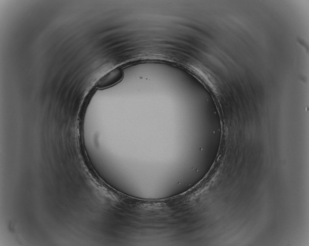 X0000091661133200709131505