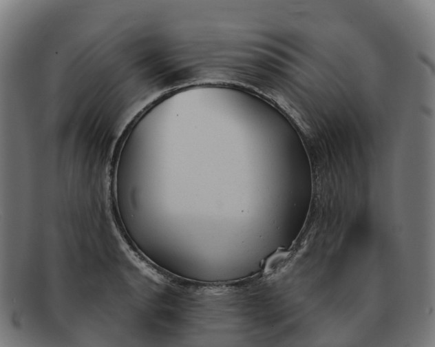 X0000091661134200709131505