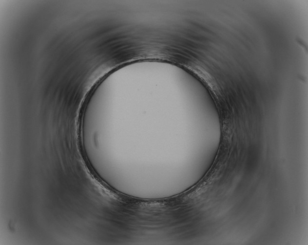 X0000091661135200709131505