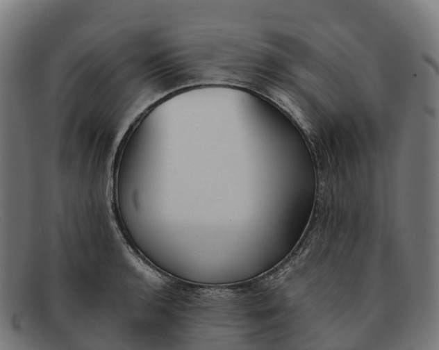 X0000091661136200709131505