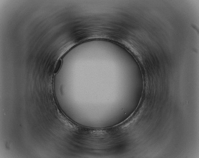 X0000091661137200709131505