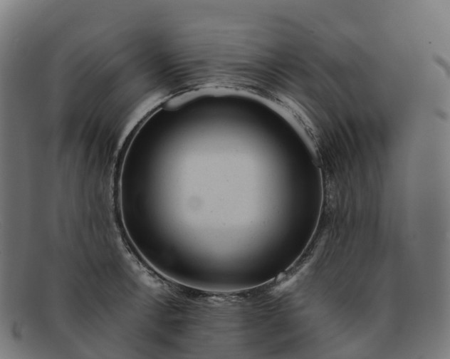 X0000091661138200709131505