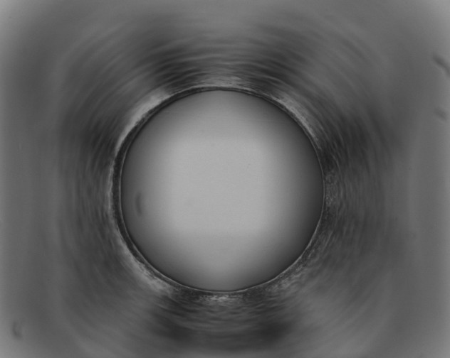 X0000091661139200709131505