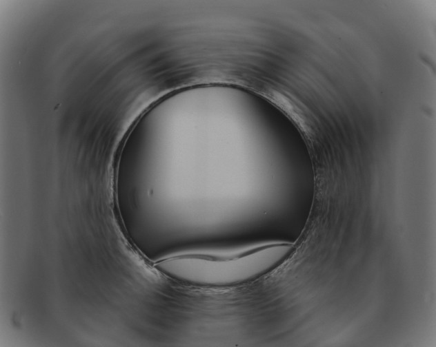 X0000091661140200709131505