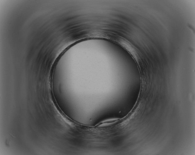 X0000091661141200709131505