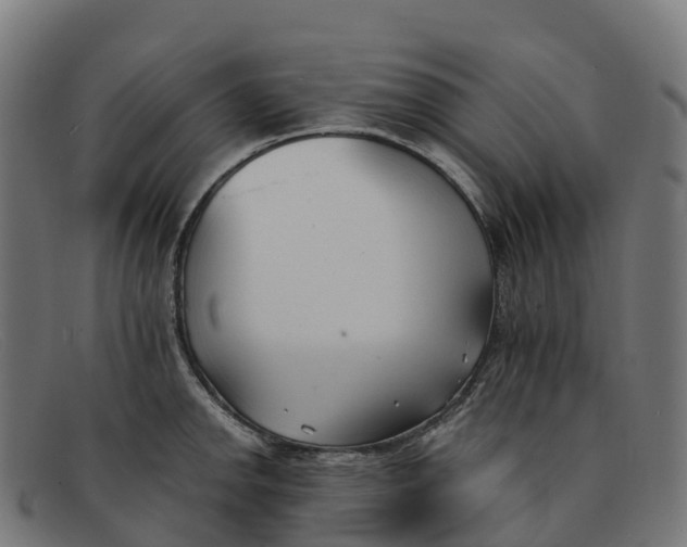 X0000091661142200709131505