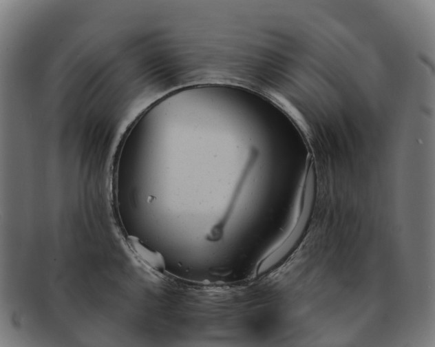 X0000091661144200709131505