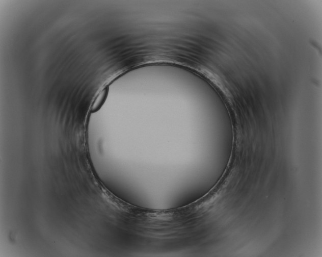 X0000091661145200709131505