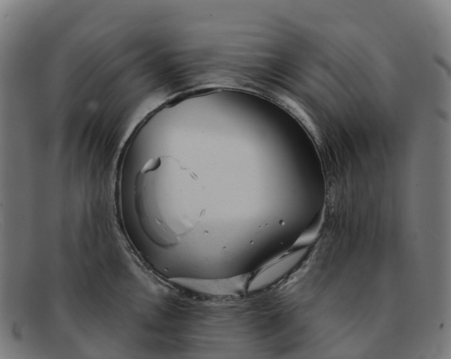 X0000091661146200709131505