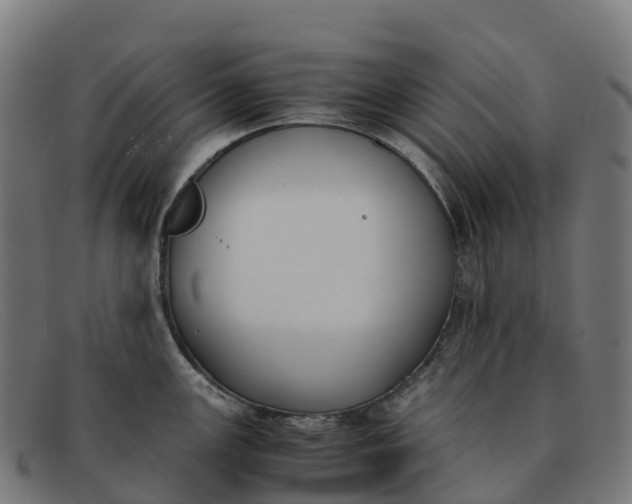 X0000091661147200709131505