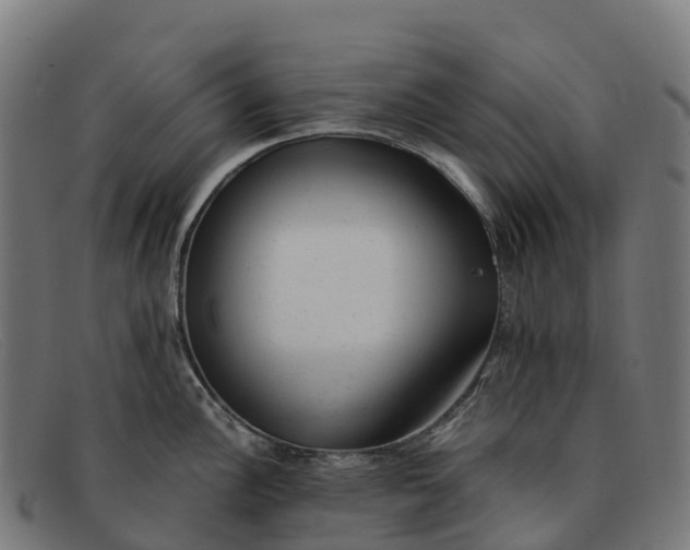 X0000091661148200709131505