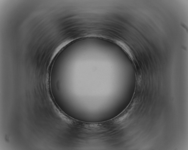 X0000091661149200709131505