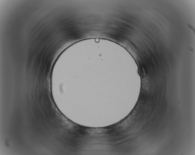 X0000091661150200709131505