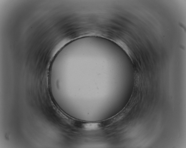 X0000091661151200709131505