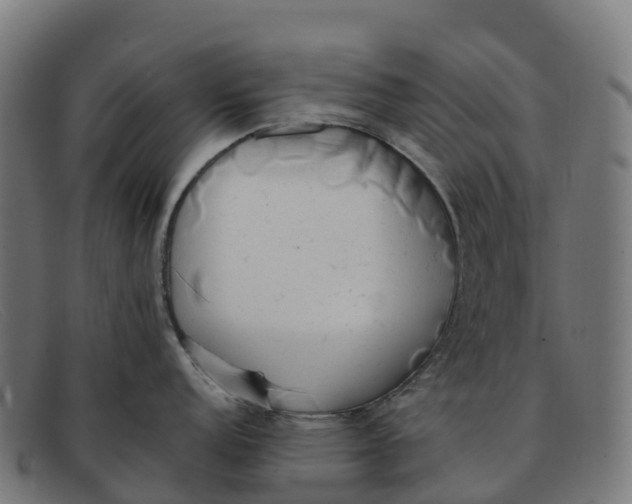 X0000091661152200709131505