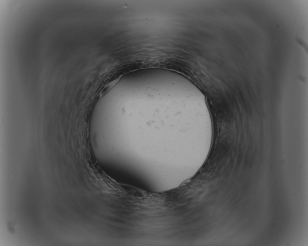 X0000091661153200709131504