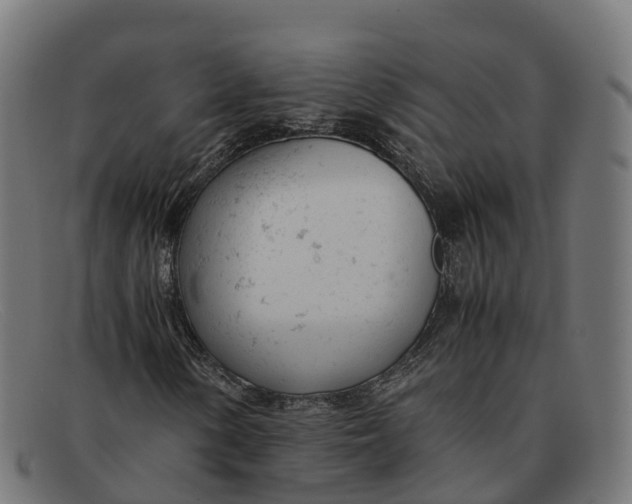 X0000091661154200709131504