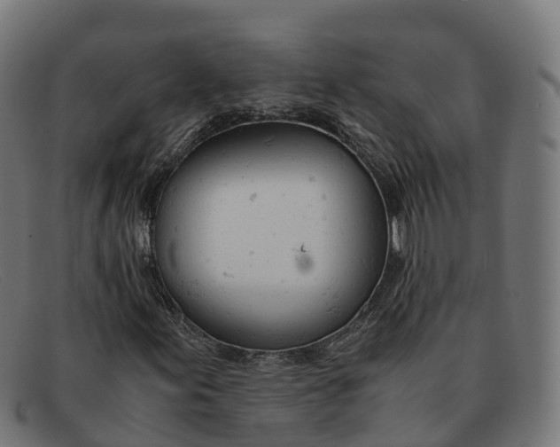 X0000091661155200709131504