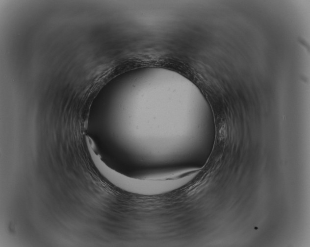 X0000091661156200709131504