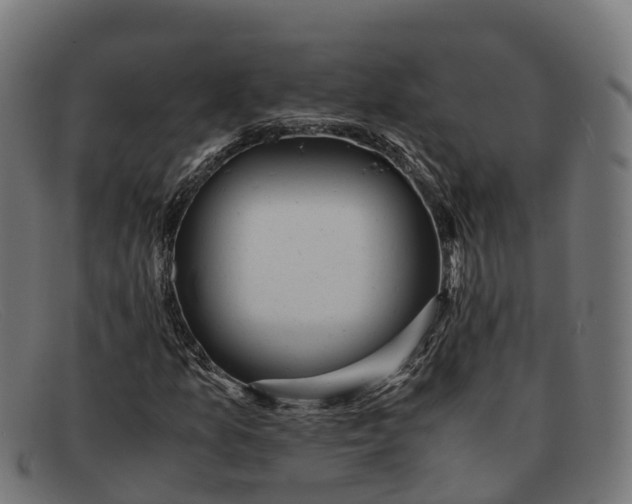 X0000091661157200709131504