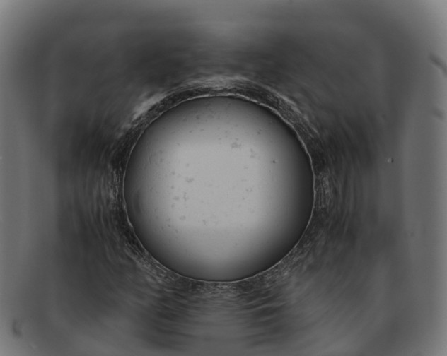 X0000091661158200709131504