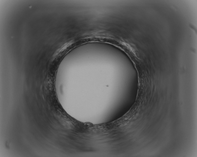 X0000091661159200709131504