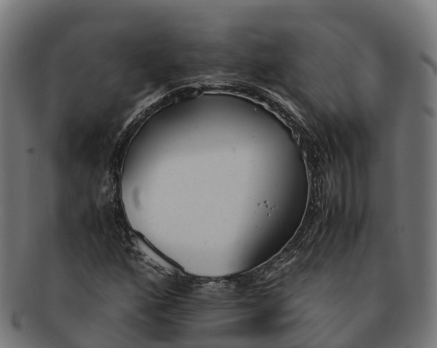 X0000091661160200709131504