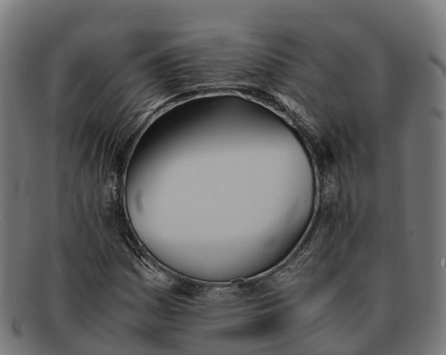 X0000091661161200709131504