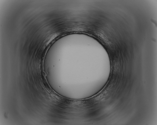 X0000091661162200709131504