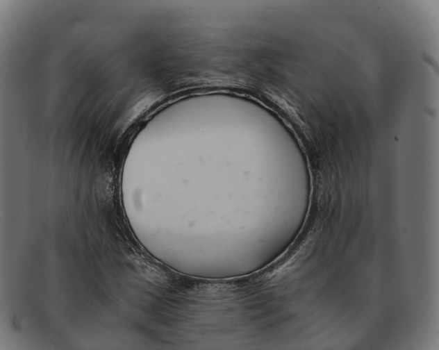 X0000091661163200709131504