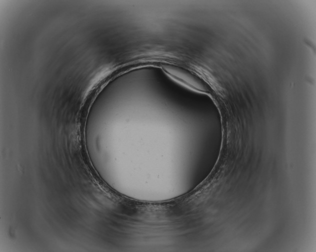 X0000091661164200709131504