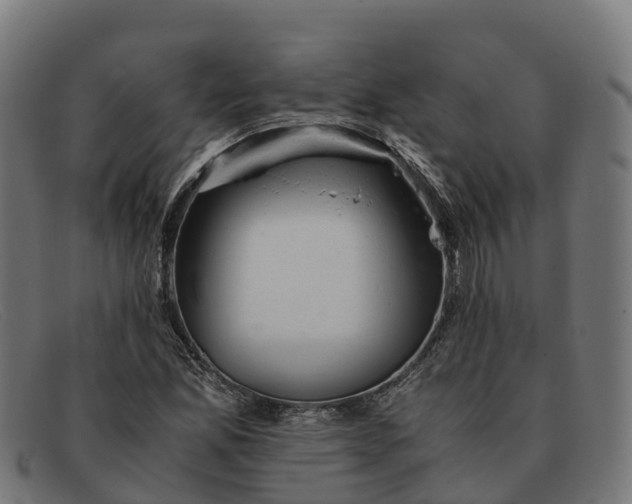 X0000091661165200709131504