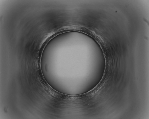 X0000091661166200709131504