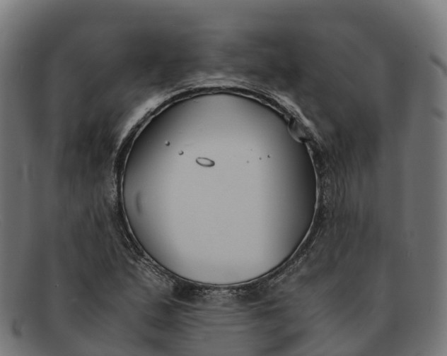 X0000091661167200709131504