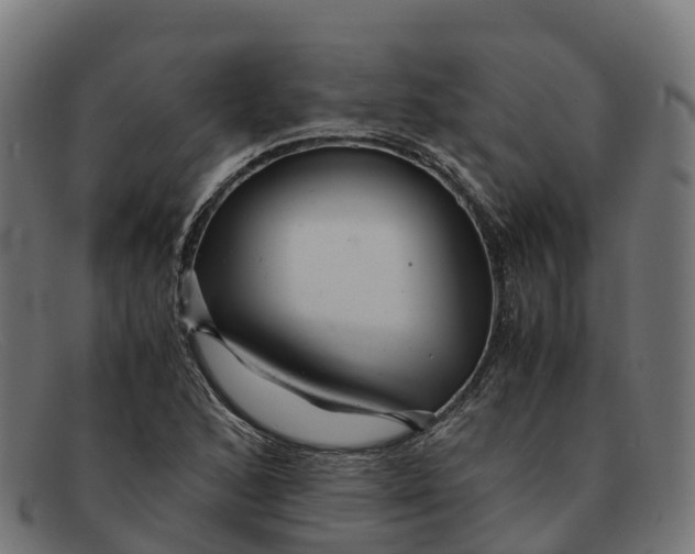 X0000091661168200709131504