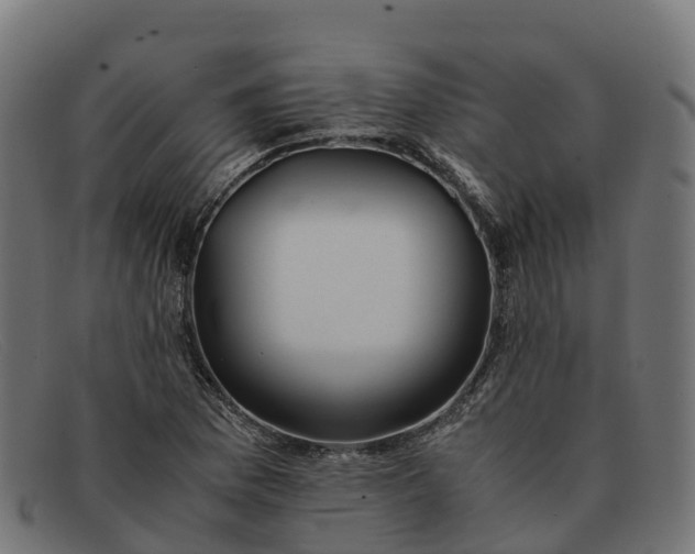 X0000091661169200709131504