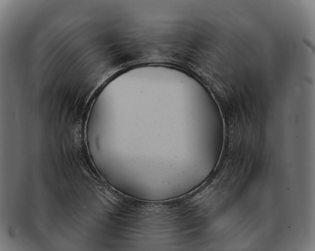 X0000091661170200709131504