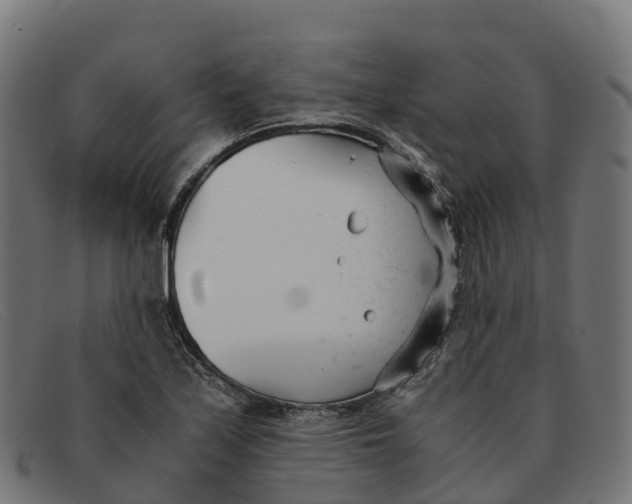 X0000091661171200709131504