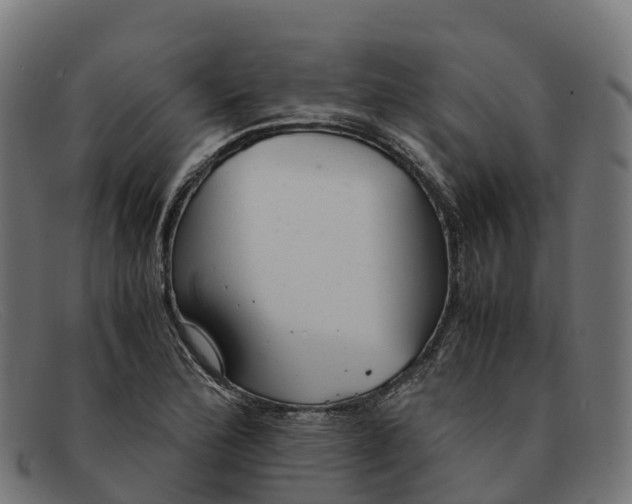 X0000091661172200709131504